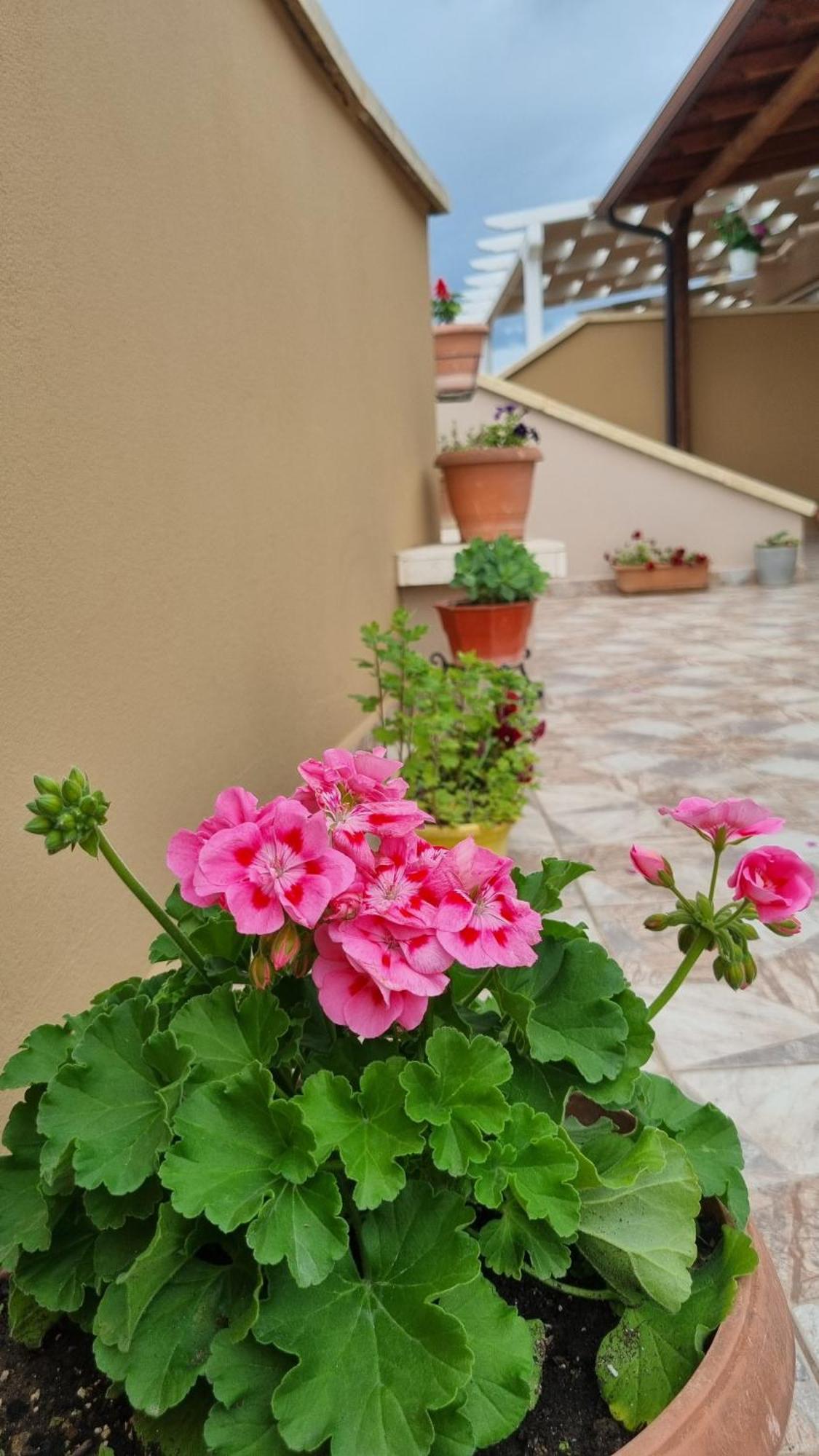Luis Penthouse Apartman Berat Kültér fotó